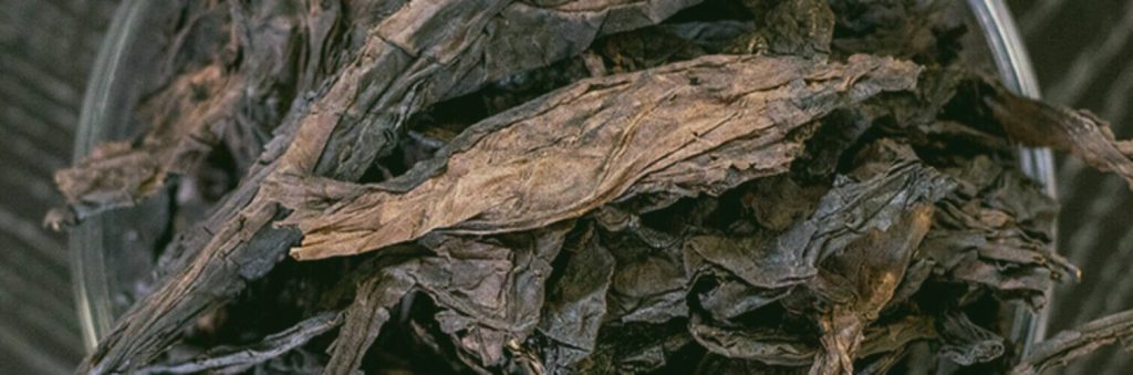 Immerse Yourself in the Captivating Visuals of Dark-fired Latakia Tobacco Leaves