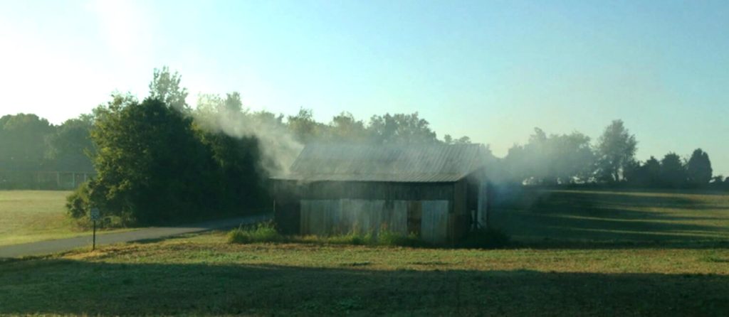 Peering into the Traditional Process of Dark-fired Kentucky tobacco
